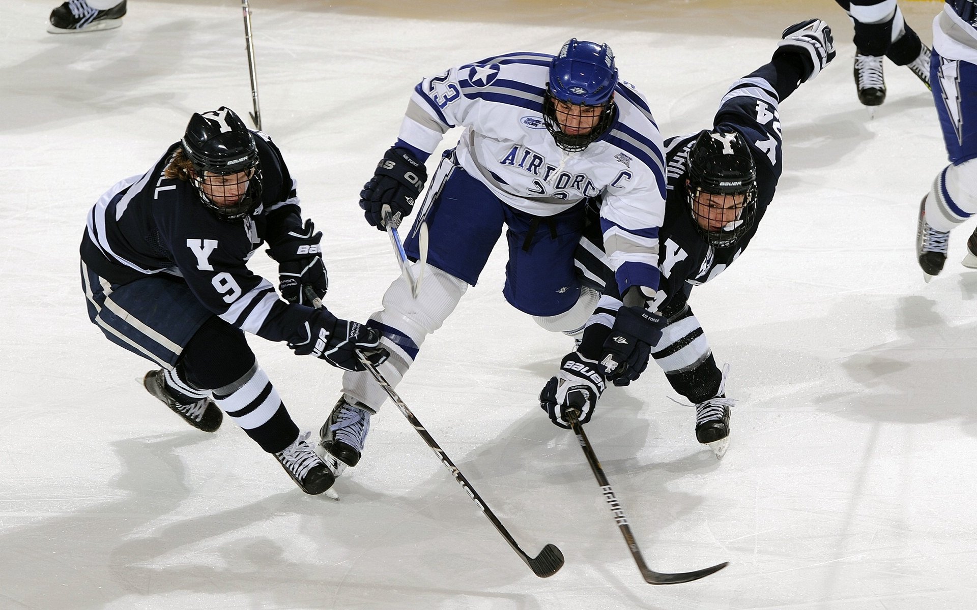 掘金对阵黄蜂，切特在焦点战证明自己，新一代内线对决的诞生